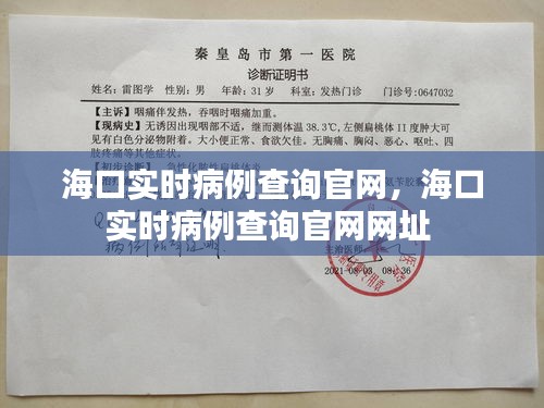 海口实时病例查询官网，海口实时病例查询官网网址 