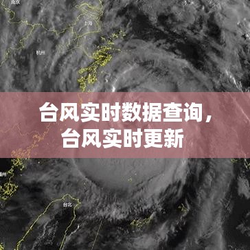 台风实时数据查询，台风实时更新 