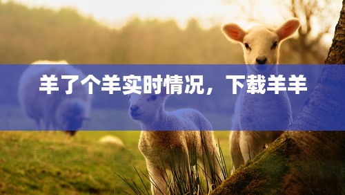 羊了个羊实时情况，下载羊羊 
