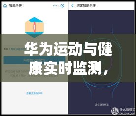 华为运动与健康实时监测，华为运动与健康测试版 