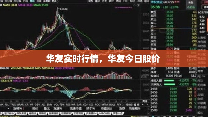 华友实时行情，华友今日股价 
