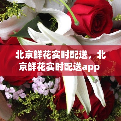 北京鲜花实时配送，北京鲜花实时配送app 