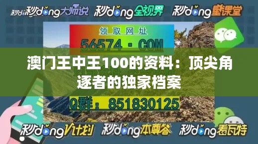 澳门王中王100的资料：顶尖角逐者的独家档案