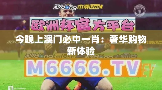 今晚上澳门必中一肖：奢华购物新体验