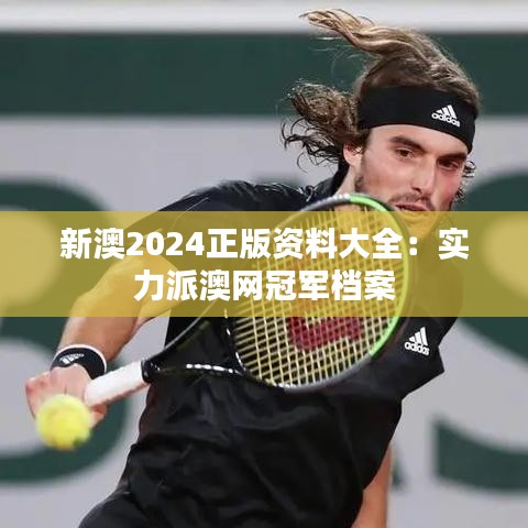 新澳2024正版资料大全：实力派澳网冠军档案