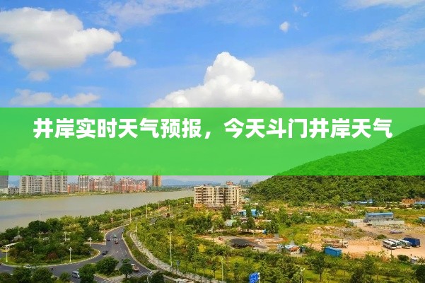 夯雀儿先飞 第3页