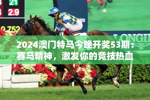 2024澳门特马今晚开奖53期：赛马精神，激发你的竞技热血