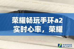 荣耀畅玩手环a2 实时心率，荣耀a2手环怎么测心率 