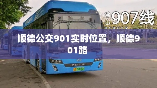 顺德公交901实时位置，顺德901路 