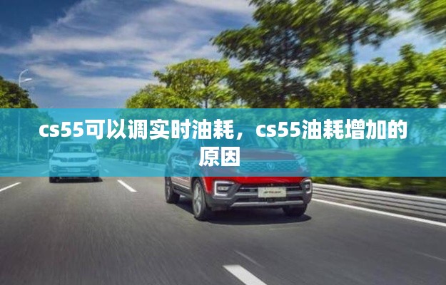cs55可以调实时油耗，cs55油耗增加的原因 