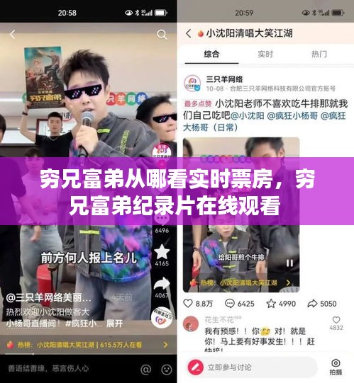 穷兄富弟从哪看实时票房，穷兄富弟纪录片在线观看 