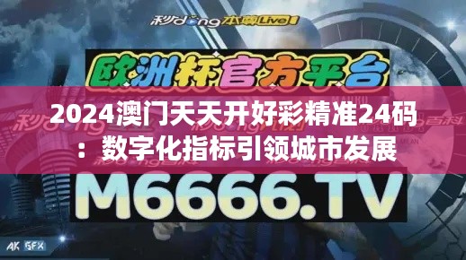 2024澳门天天开好彩精准24码：数字化指标引领城市发展