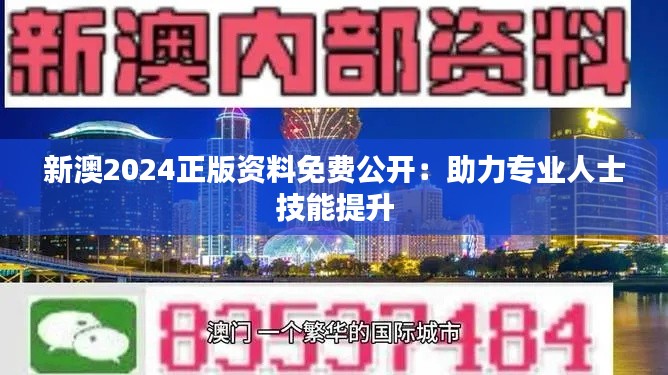 新澳2024正版资料免费公开：助力专业人士技能提升