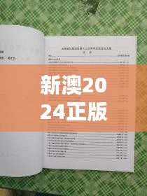 新澳2024正版资料大全：顶尖学术论文集