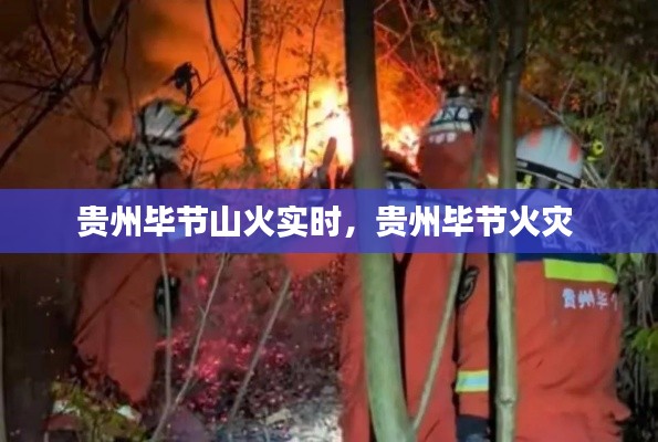 贵州毕节山火实时，贵州毕节火灾 