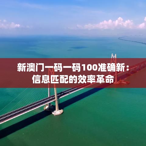 新澳门一码一码100准确新：信息匹配的效率革命
