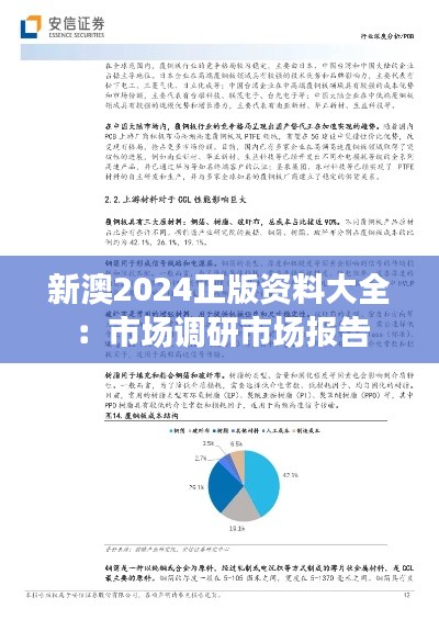 新澳2024正版资料大全：市场调研市场报告