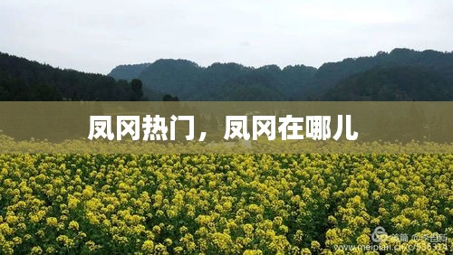 凤冈热门，凤冈在哪儿 