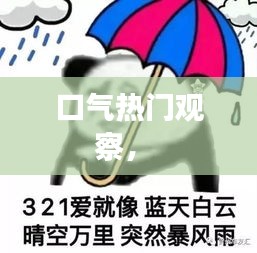 口气热门观察， 