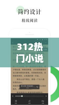 312热门小说，小说热门小说 