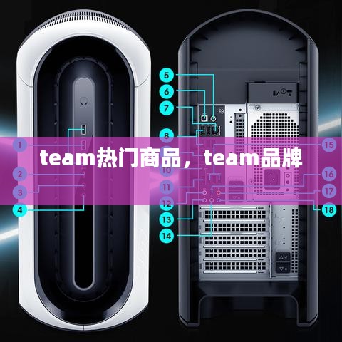 team热门商品，team品牌 