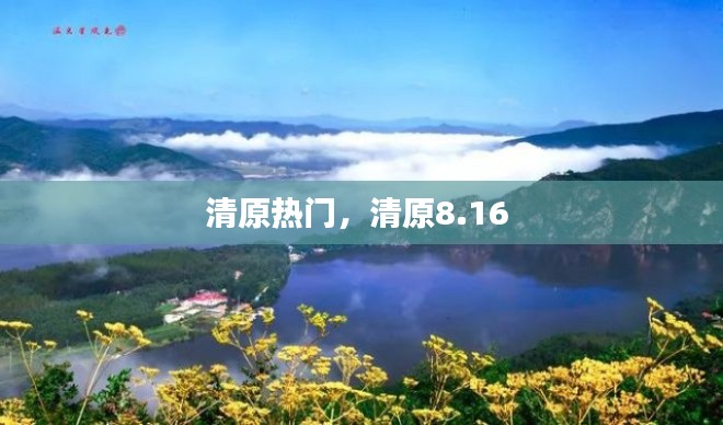 清原热门，清原8.16 