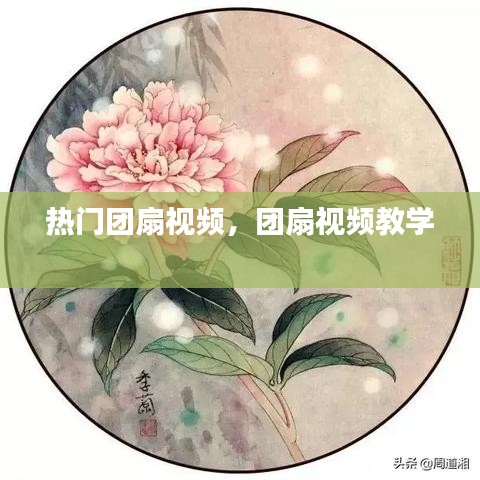 热门团扇视频，团扇视频教学 