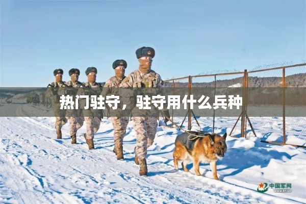 热门驻守，驻守用什么兵种 