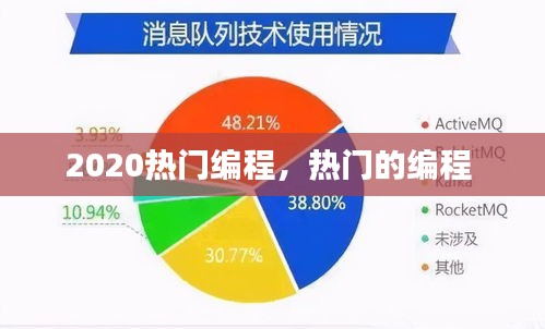 2020热门编程，热门的编程 
