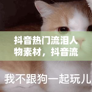 抖音热门流泪人物素材，抖音流泪的表情包图 
