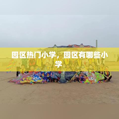园区热门小学，园区有哪些小学 