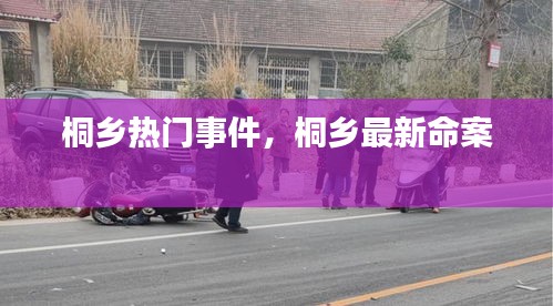 桐乡热门事件，桐乡最新命案 
