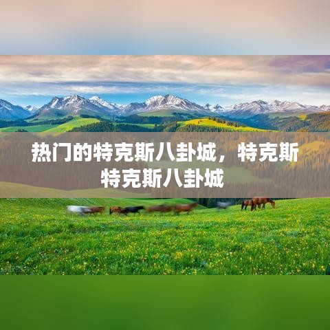 热门的特克斯八卦城，特克斯特克斯八卦城 