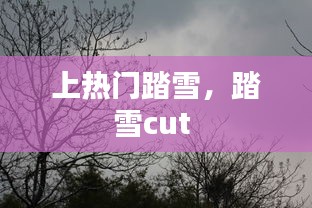 上热门踏雪，踏雪cut 