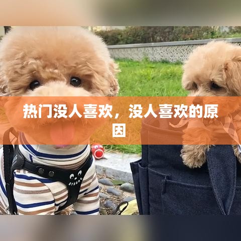 热门没人喜欢，没人喜欢的原因 