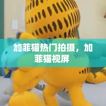 加菲猫热门拍摄，加菲猫视屏 