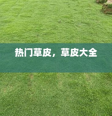 自由自在 第3页
