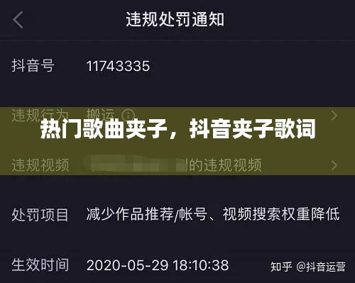 热门歌曲夹子，抖音夹子歌词 