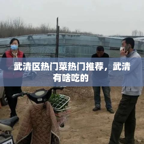武清区热门菜热门推荐，武清有啥吃的 