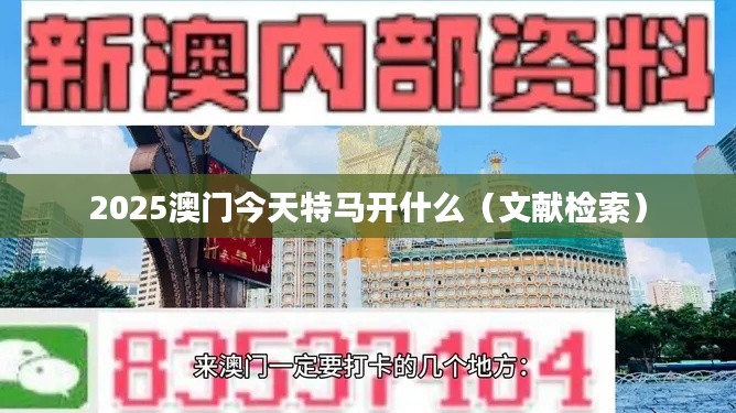 2025澳门今天特马开什么（文献检索）