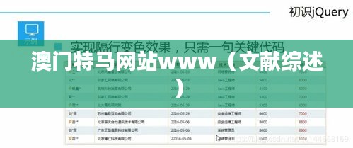 澳门特马网站www（文献综述）