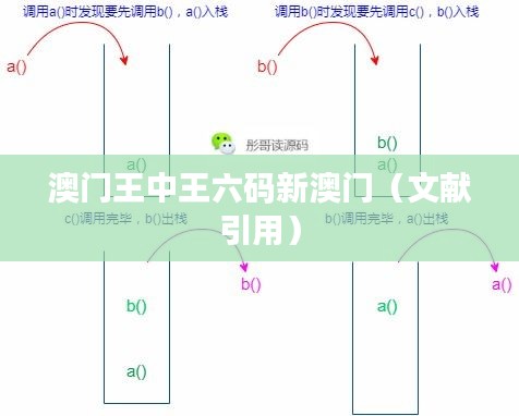 澳门王中王六码新澳门（文献引用）