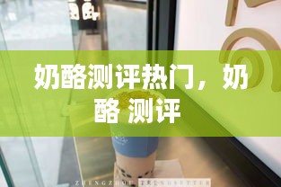 奶酪测评热门，奶酪 测评 