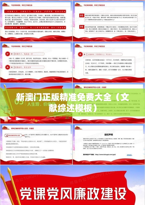 新澳门正版精准免费大全（文献综述模板）