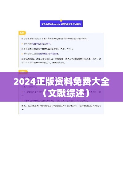 2024正版资料免费大全（文献综述）
