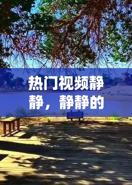 热门视频静静，静静的视频大全 风景 