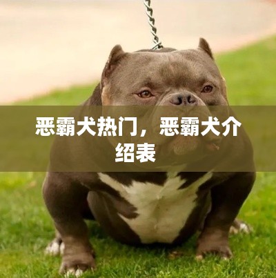 恶霸犬热门，恶霸犬介绍表 