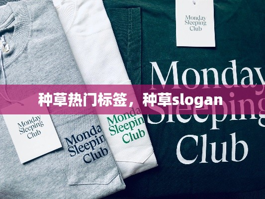 种草热门标签，种草slogan 