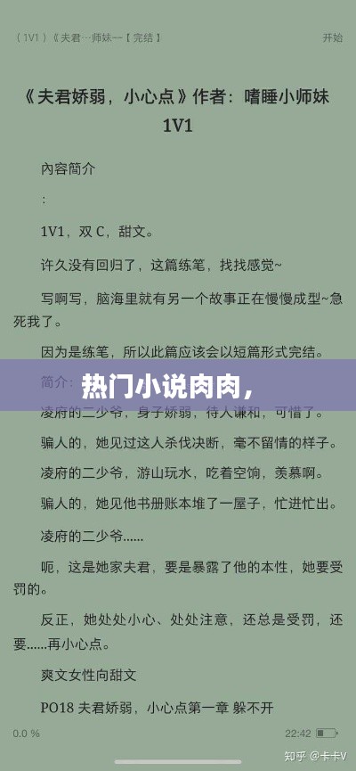 热门小说肉肉， 