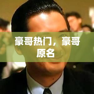 豪哥热门，豪哥原名 